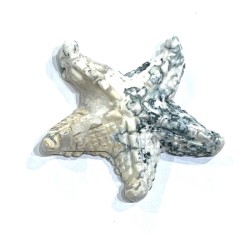 SEA STAR  SEMI PRECIOUS STONE