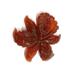 CARNELIAN FLOWER