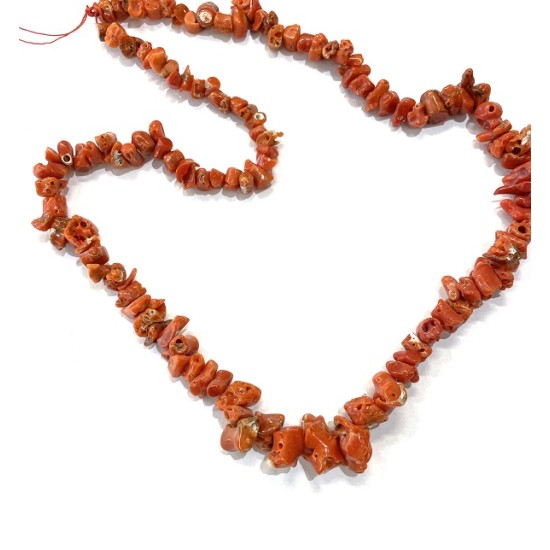 MEDITERENIAN SPONGE CORAL