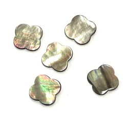 BLACK MOTHER OF PEARL 