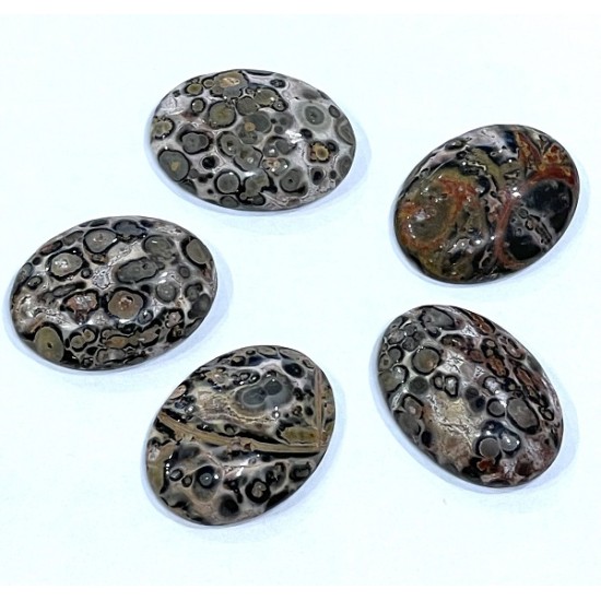 ΔΕΡΜΑ ΛΕΟΠΑΡΔΑΛΗΣ ΠΕΤΡΑ