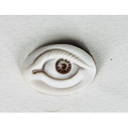 EYE ON SHELL CAMEO 