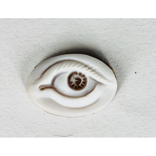 EYE ON SHELL CAMEO 