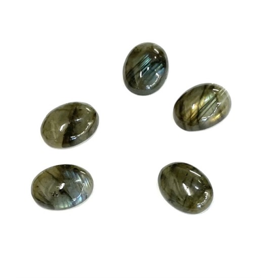 ΛΑΜΠΡΑΝΤΟΡΙΤΗΣ ΚΑΜΠΟΥΣΟΝ