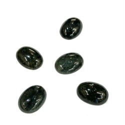 BLACK LABRABORITE CABS