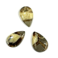 SEPTARIAN