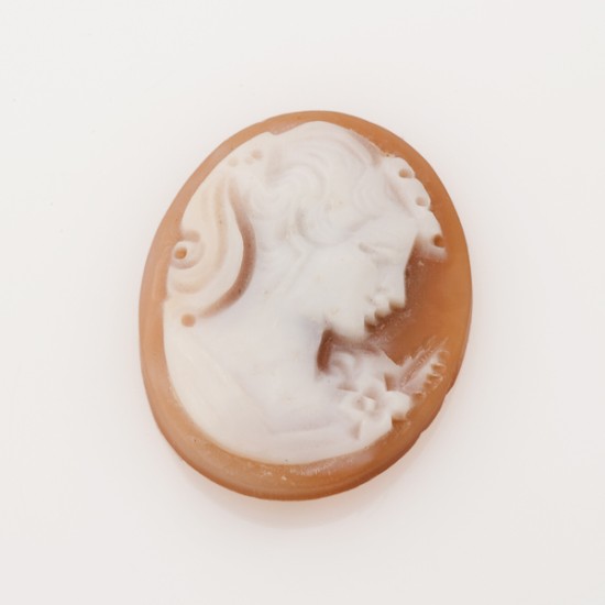 CAMEO SHELL