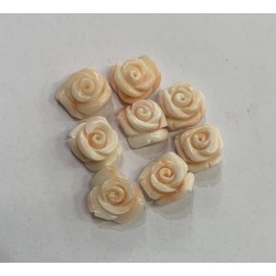 ANGELSKIN CORAL ROSES