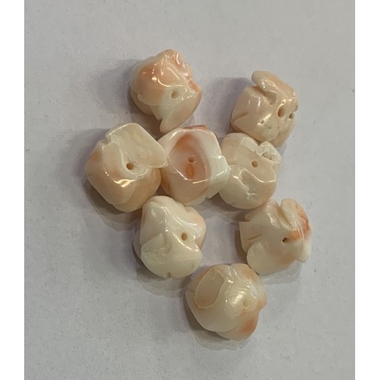 ANGELSKIN CORAL ROSES