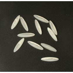 MOTHER OF PEARL MARQUISE