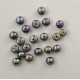 FRESH WATER PEARL HALF DRILLED BUTTON
