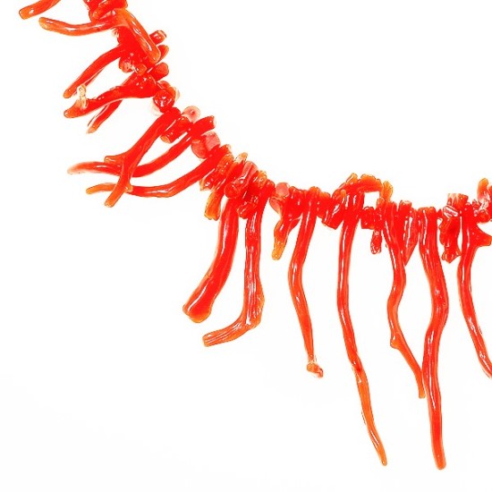 MEDITERANEAN CORAL BRANCHES