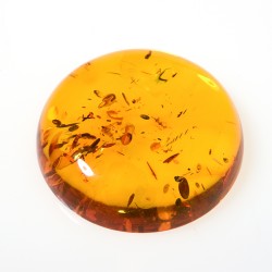 AMBER ROUND CABS