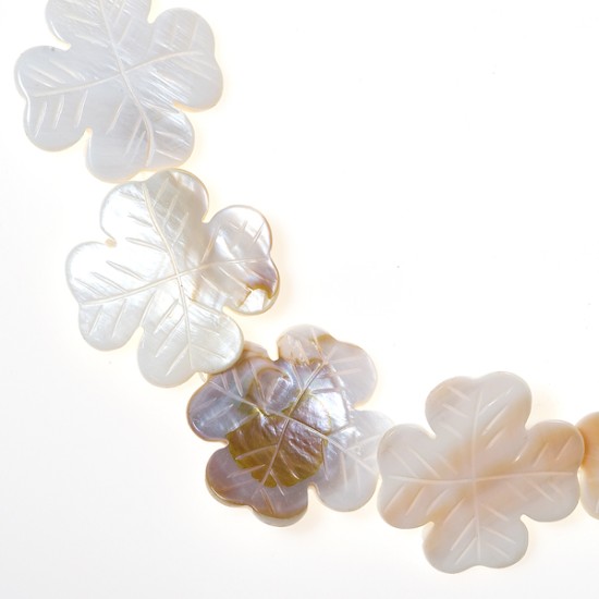 RIVER SHELL FOUR LEAF