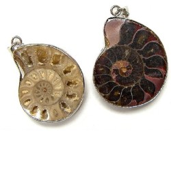 AMMONITE PENDANT