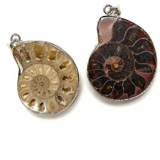 AMMONITE PENDANT