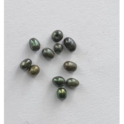 FRESH WATER PEARL HALF DRILLED BUTTON