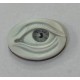 EYE ON SHELL CAMEO 