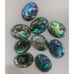 ABALONE OVAL CABS