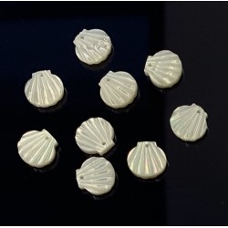 MOTHER OF PEARL Shell